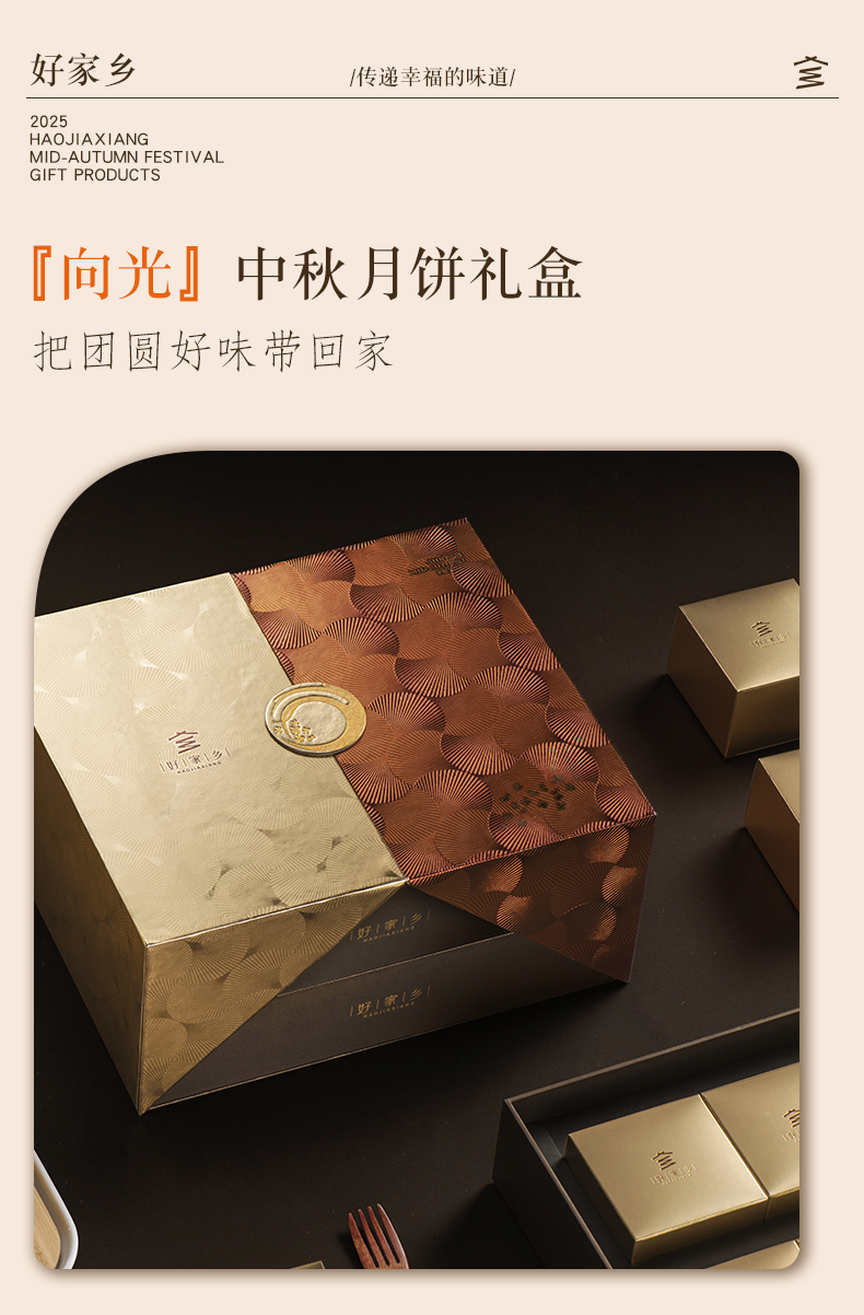 【好家乡】向光720g